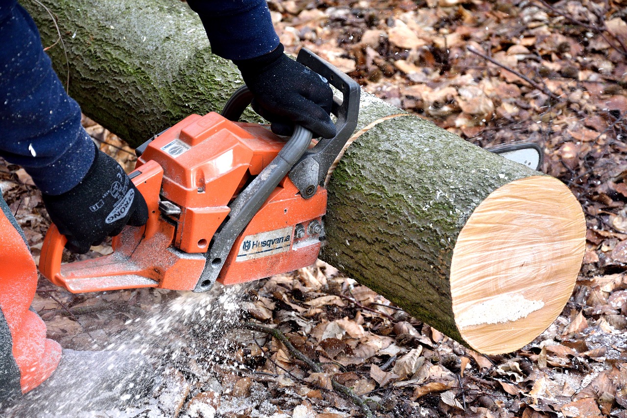 tree removal