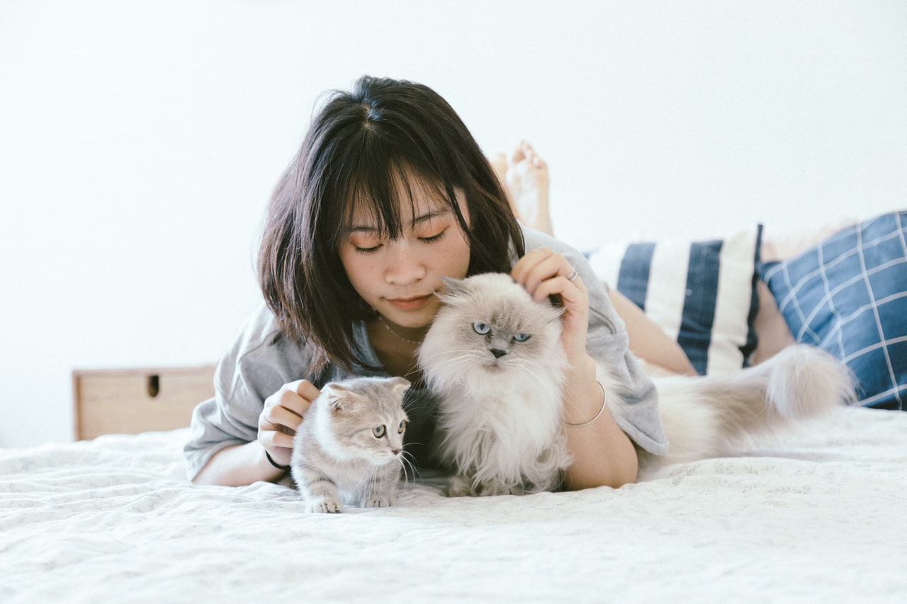 pet hair fur