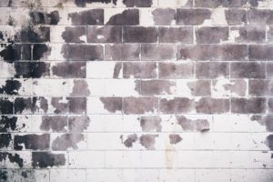 bricks